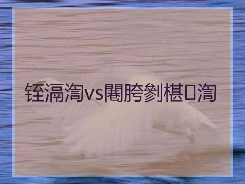 铚滆渹vs闀胯剼椹渹