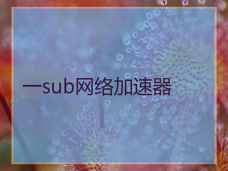 一sub网络加速器