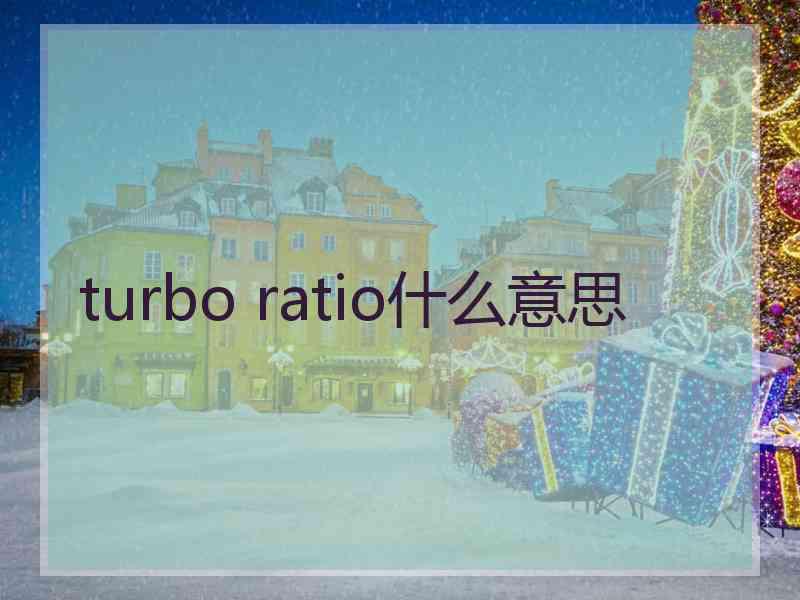 turbo ratio什么意思