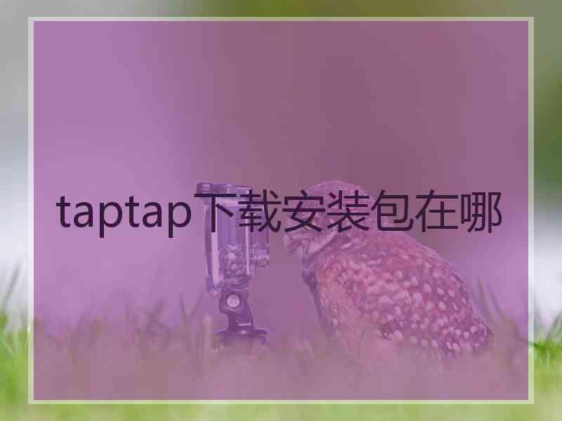 taptap下载安装包在哪