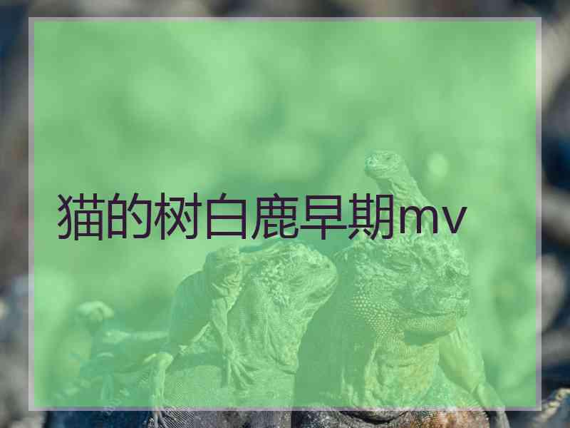 猫的树白鹿早期mv