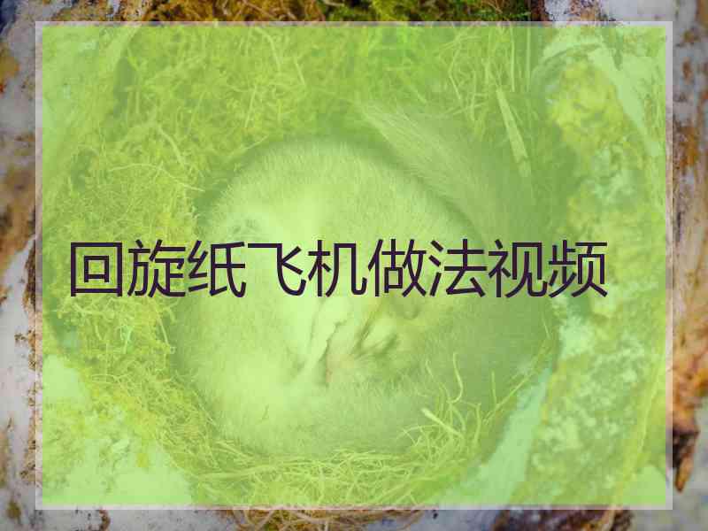 回旋纸飞机做法视频