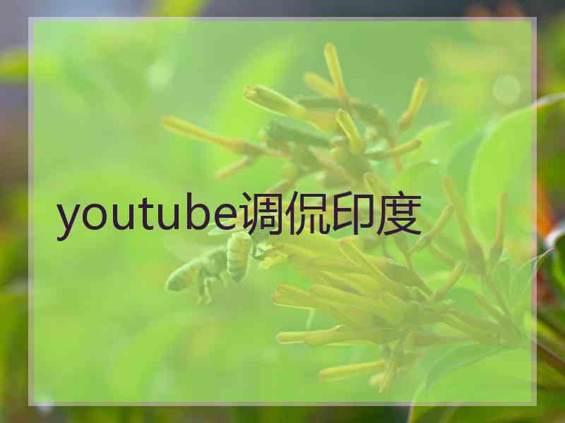 youtube调侃印度