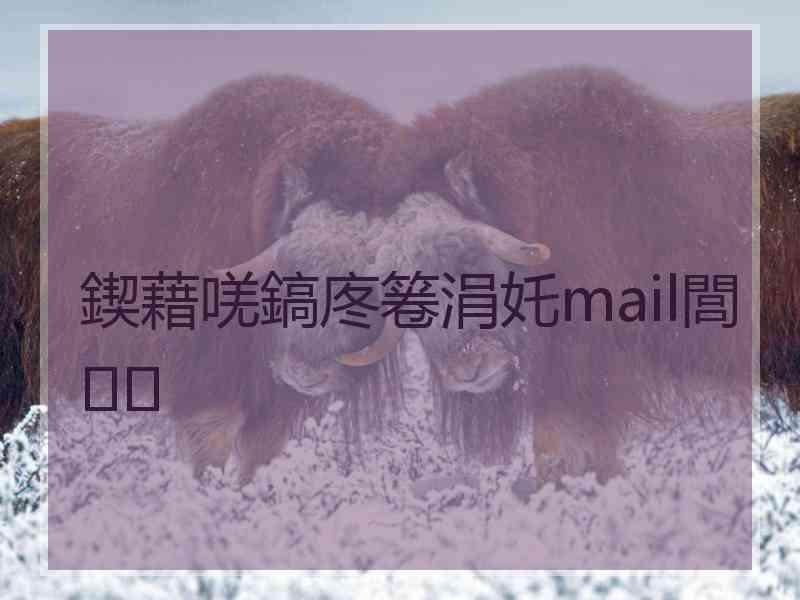 鍥藉唴鎬庝箞涓奼mail閭