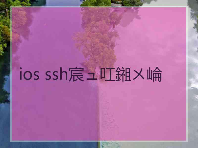 ios ssh宸ュ叿鎺ㄨ崘