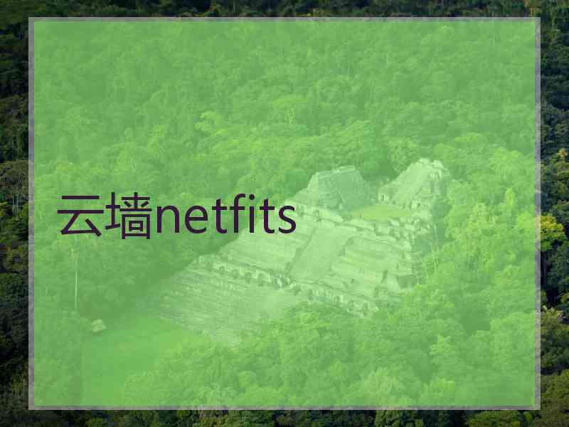 云墙netfits