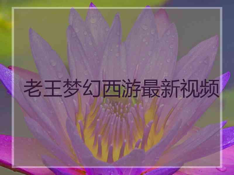 老王梦幻西游最新视频