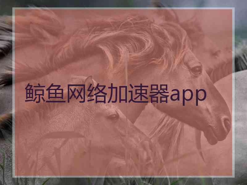 鲸鱼网络加速器app