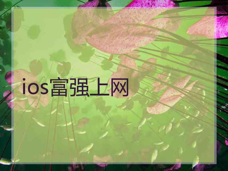 ios富强上网