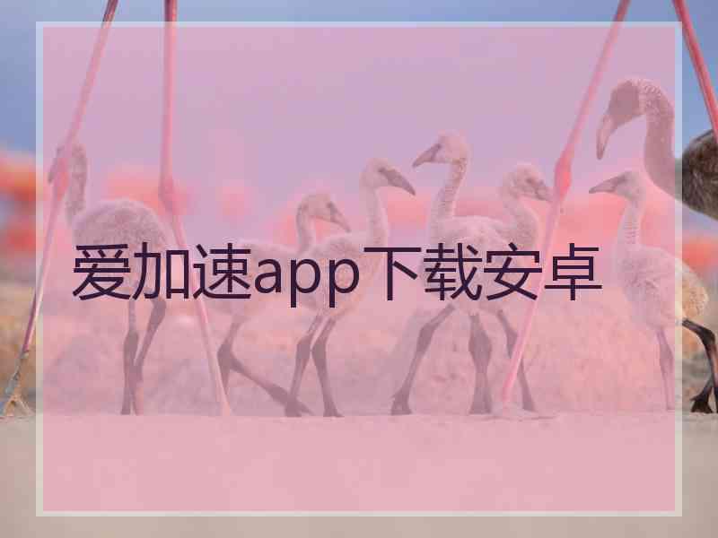 爱加速app下载安卓