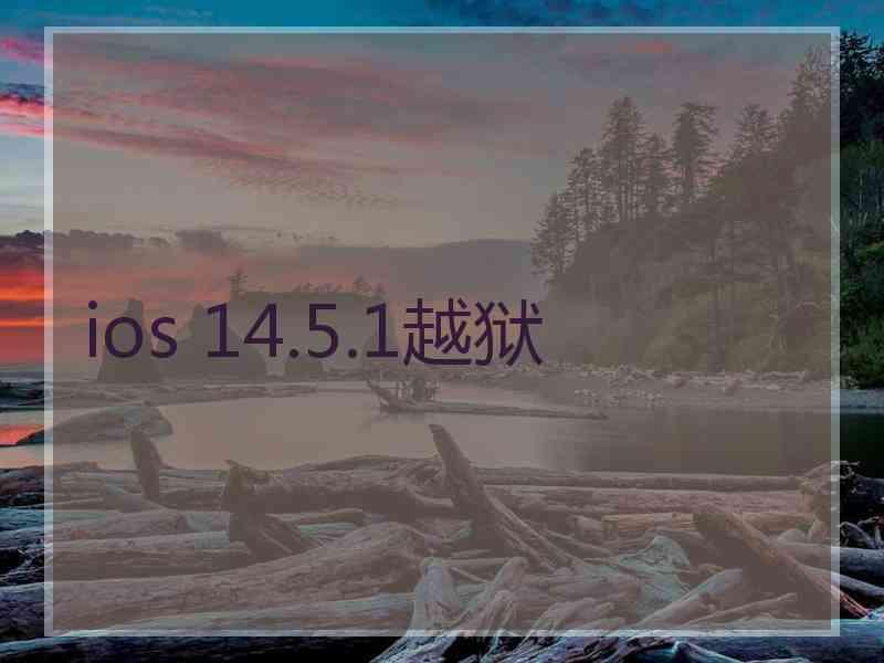 ios 14.5.1越狱