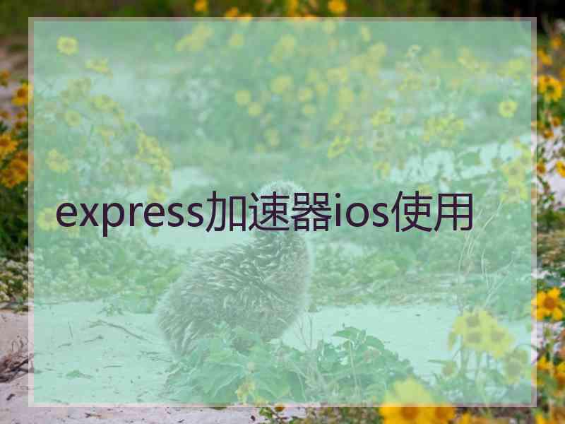 express加速器ios使用