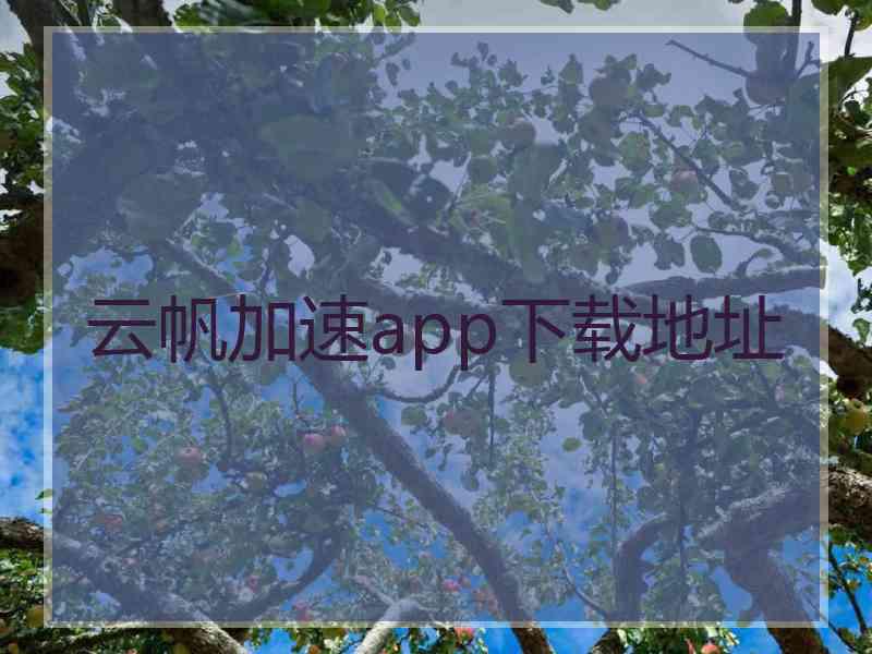 云帆加速app下载地址