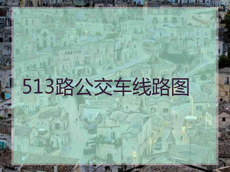 513路公交车线路图