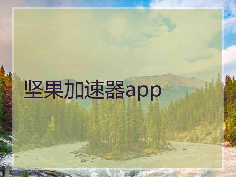 坚果加速器app