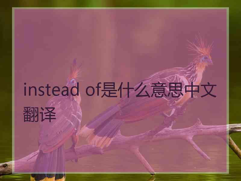 instead of是什么意思中文翻译