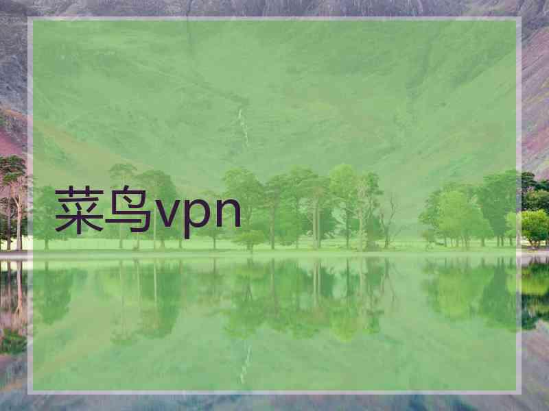 菜鸟vpn