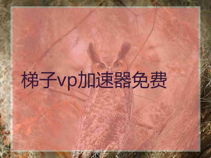 梯子vp加速器免费