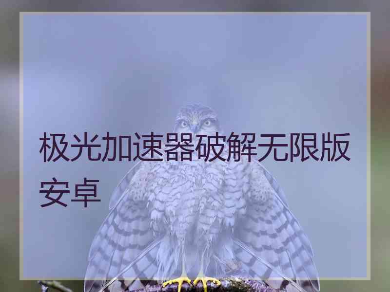 极光加速器破解无限版安卓