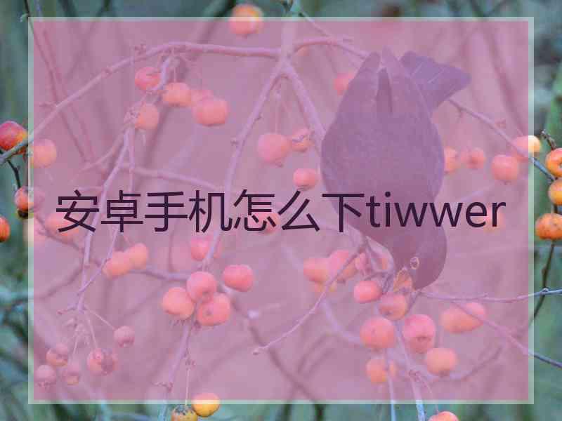 安卓手机怎么下tiwwer