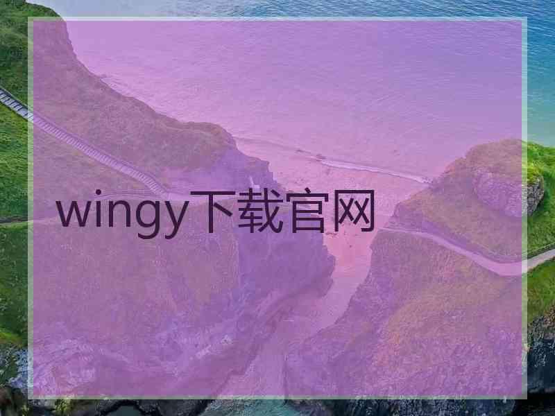 wingy下载官网