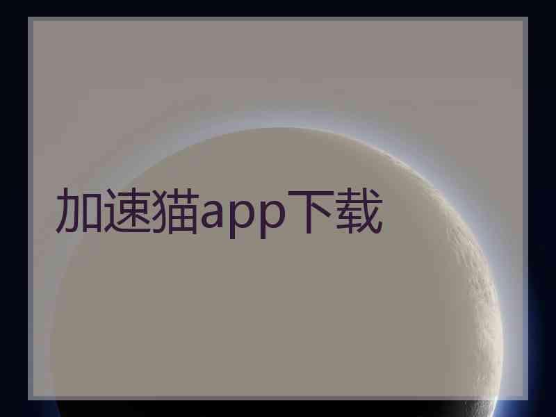 加速猫app下载