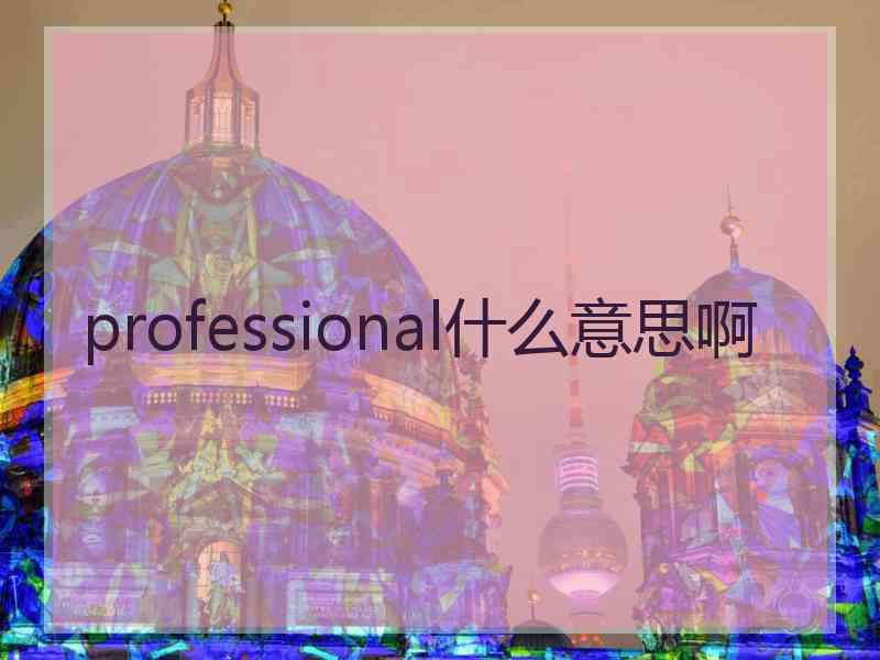 professional什么意思啊