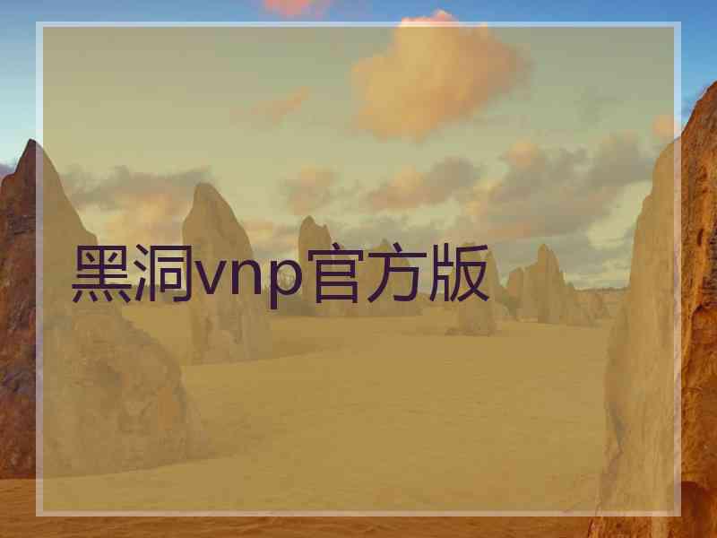 黑洞vnp官方版