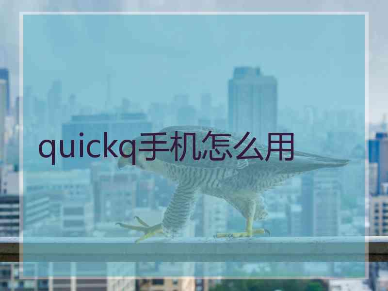 quickq手机怎么用