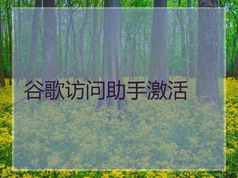 谷歌访问助手激活