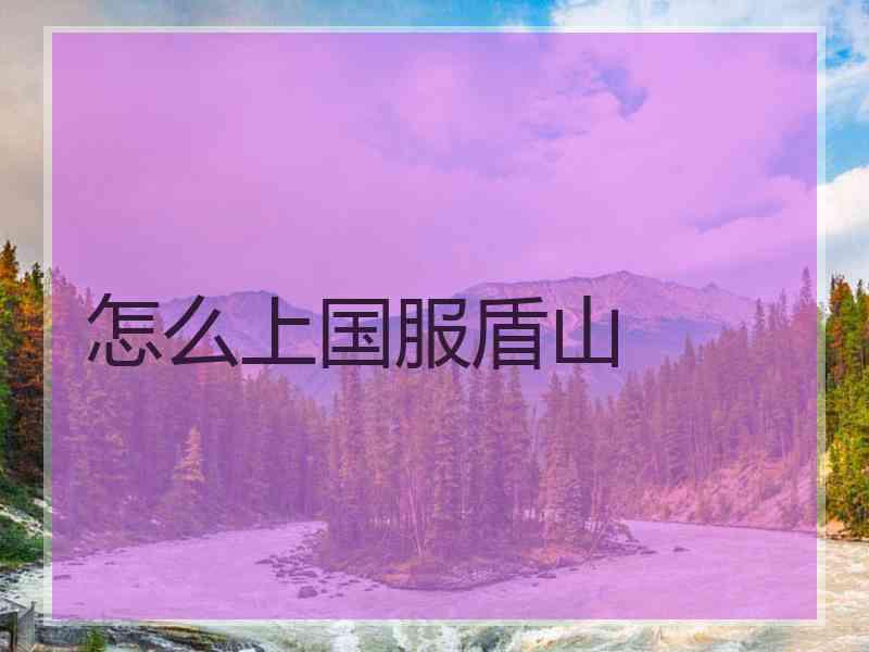 怎么上国服盾山