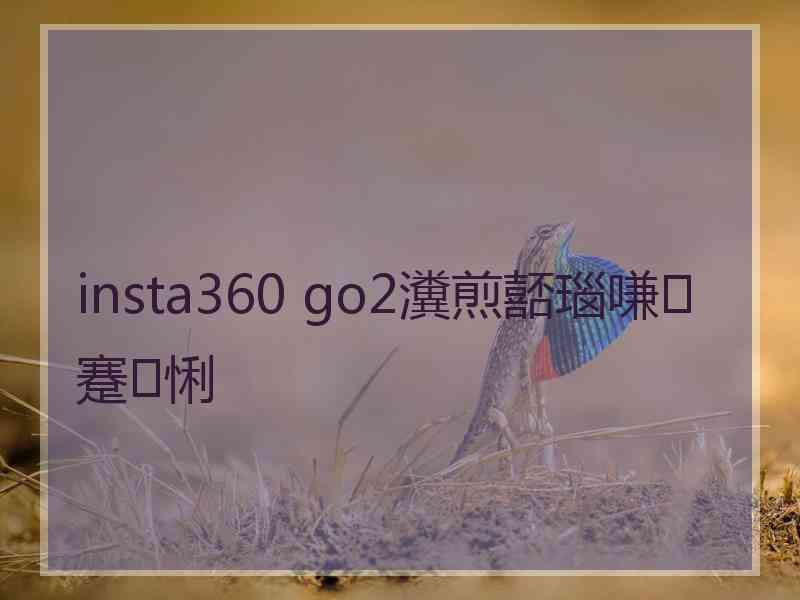 insta360 go2瀵煎嚭瑙嗛蹇悧