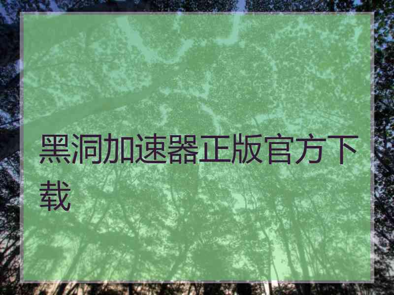 黑洞加速器正版官方下载