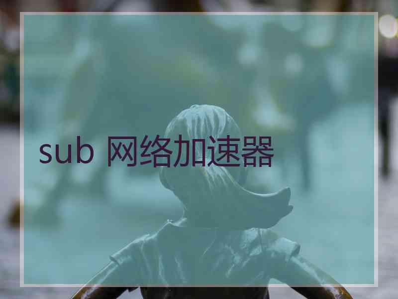 sub 网络加速器