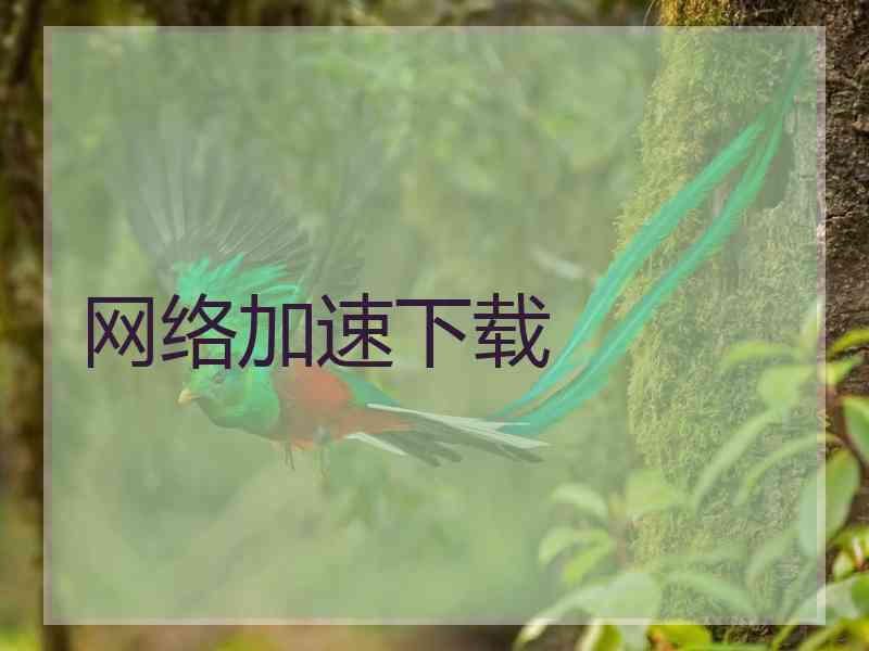 网络加速下载