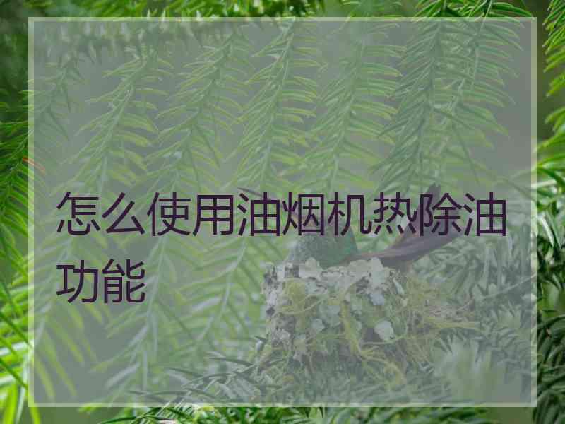 怎么使用油烟机热除油功能