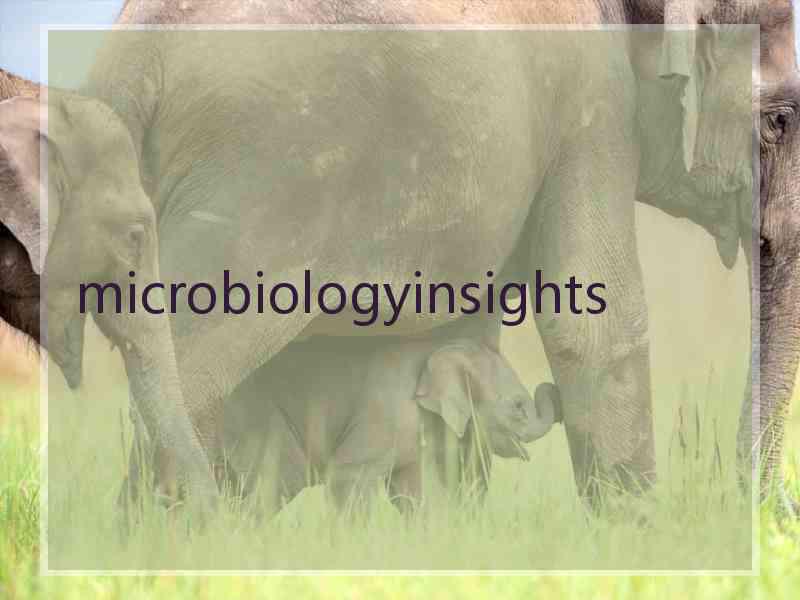 microbiologyinsights