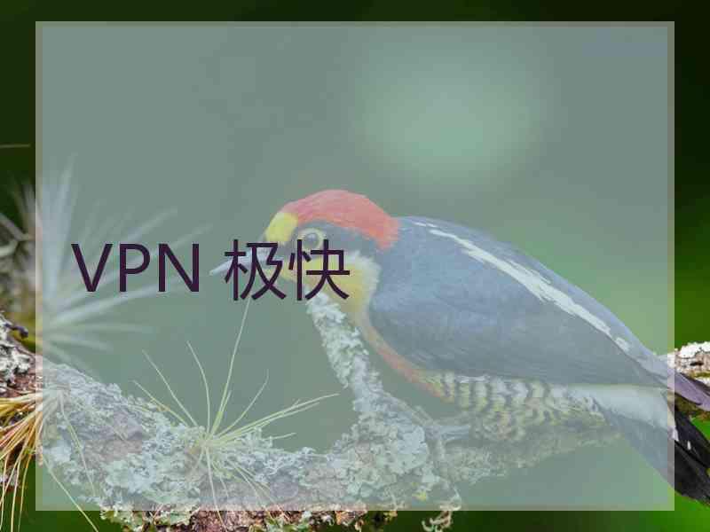 VPN 极快