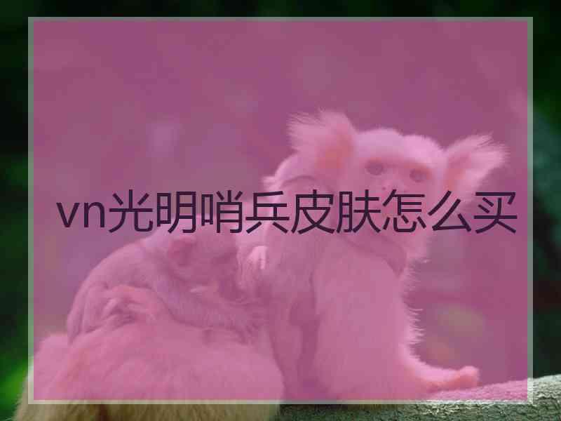 vn光明哨兵皮肤怎么买