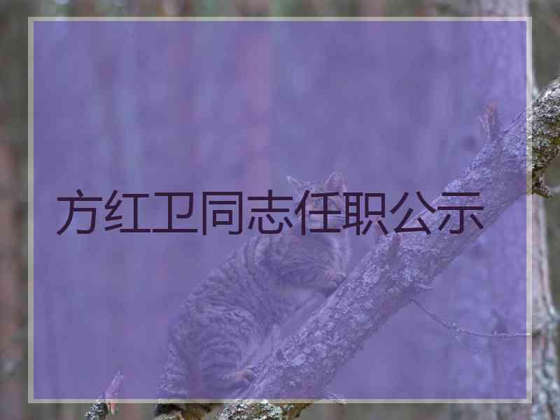 方红卫同志任职公示