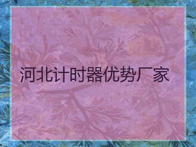 河北计时器优势厂家