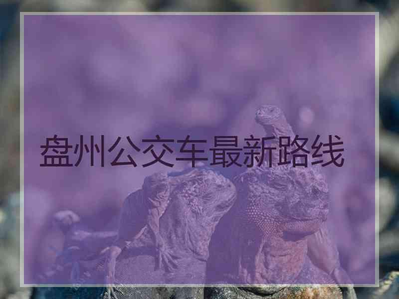 盘州公交车最新路线