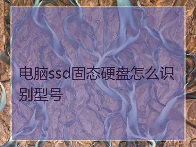 电脑ssd固态硬盘怎么识别型号