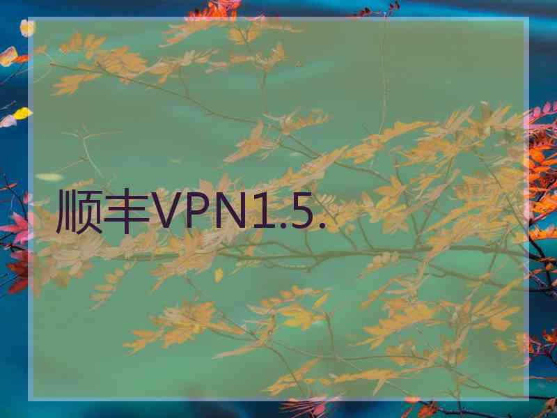 顺丰VPN1.5.