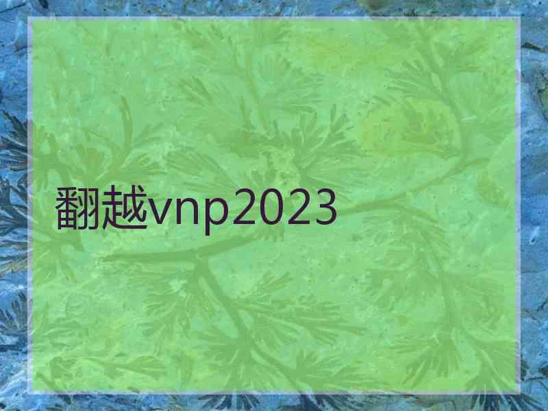 翻越vnp2023