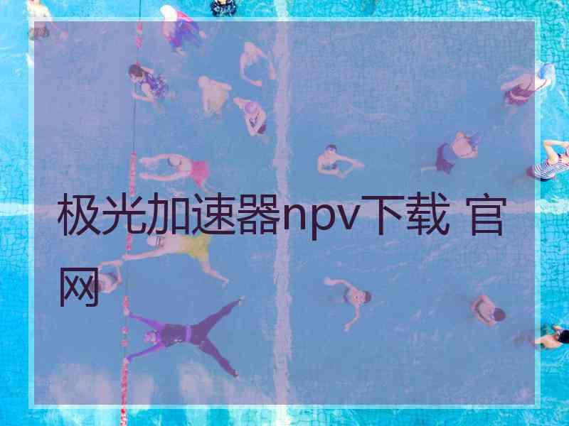 极光加速器npv下载 官网