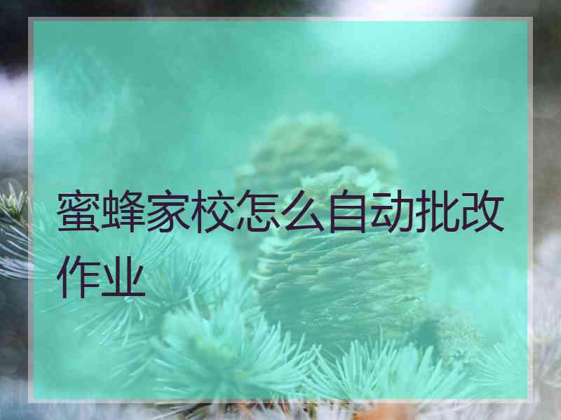 蜜蜂家校怎么自动批改作业