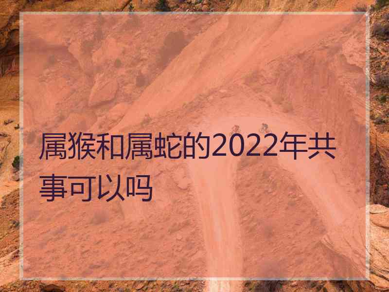 属猴和属蛇的2022年共事可以吗