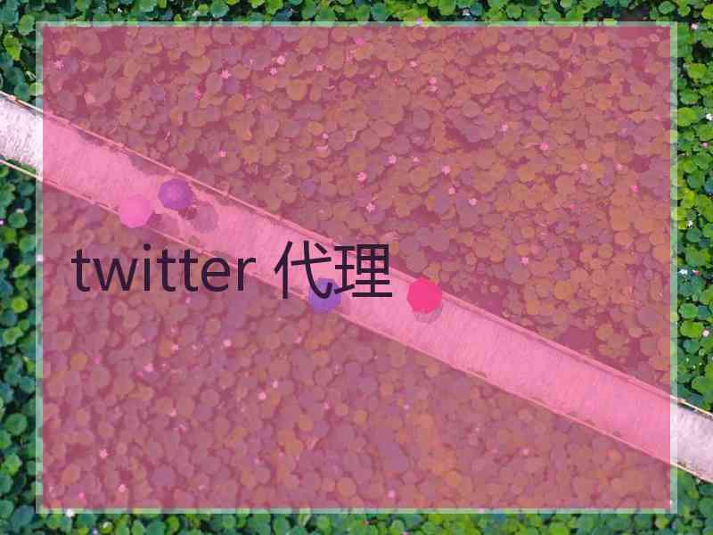 twitter 代理