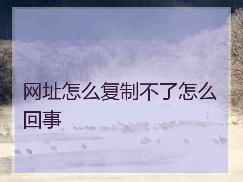 网址怎么复制不了怎么回事